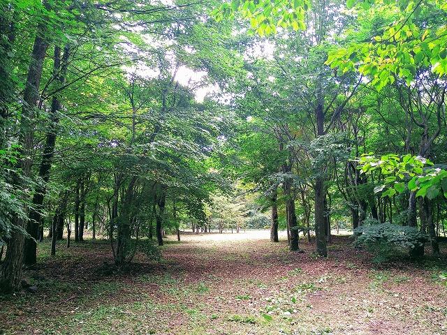 軽井沢町のプライベート感満載な平坦な土地