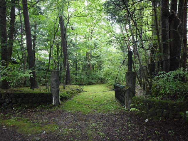 軽井沢町の歴史を感じさせる苔むした土地