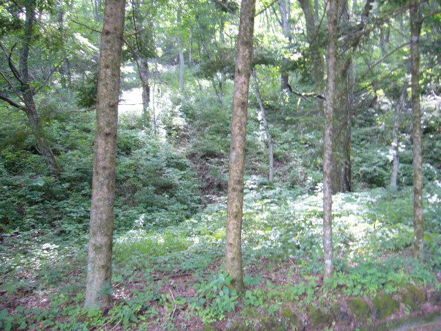 軽井沢町の900坪超の広い土地