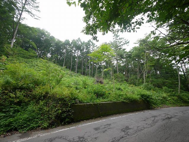 軽井沢町の野趣味あふれる土地